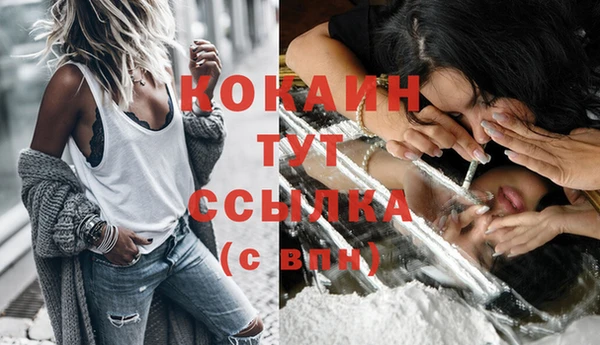 прущие грибы Абинск
