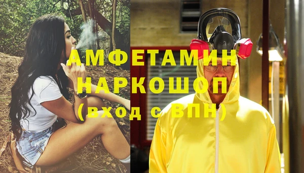прущие грибы Абинск